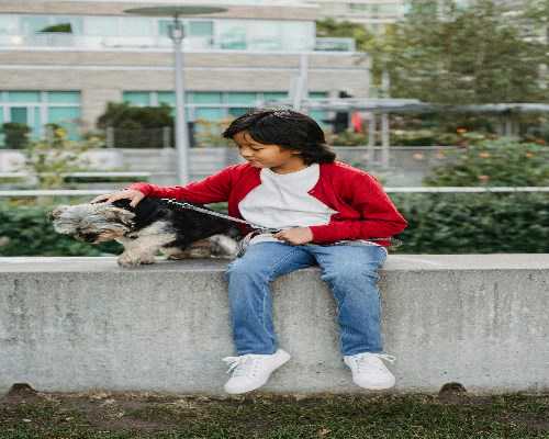 国内代怀专业性与公立机构男孩选择，第三代试管费用及成功率解析